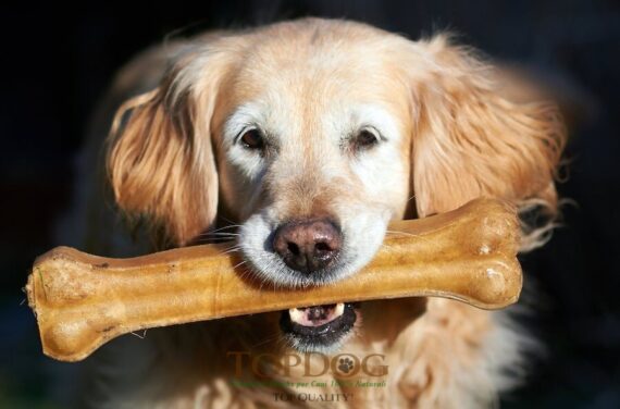 Osso di pelle di bufalo per cani con Trippa Verde - S - immagine 3