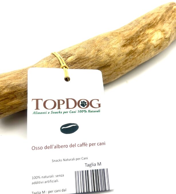Legno di caffè per cani