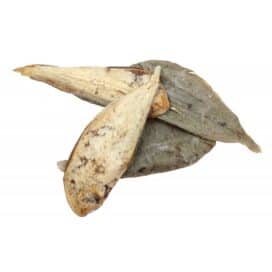 sogliola-essiccata-per-cani