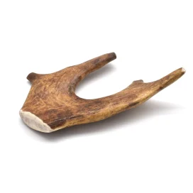 corna di daino per cani