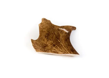 corna di daino per cani