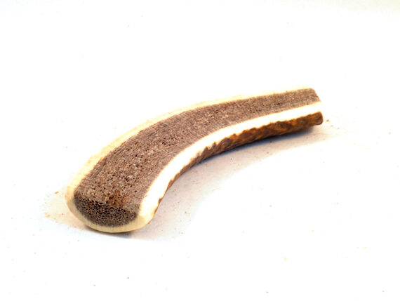 corno-cervo-per-cani-dimezzato-s