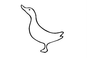 Masticativi per cani di Anatra