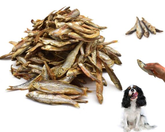 Aringhe essiccate per cani intere 100gr - immagine 4
