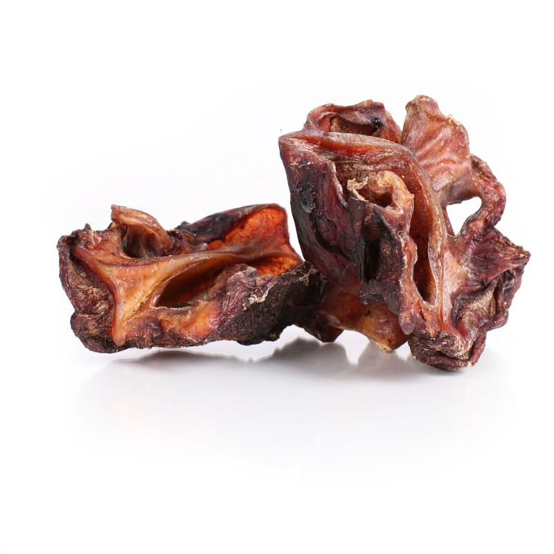 nasi di bovino per cani