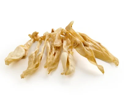 orecchie di coniglio per cani