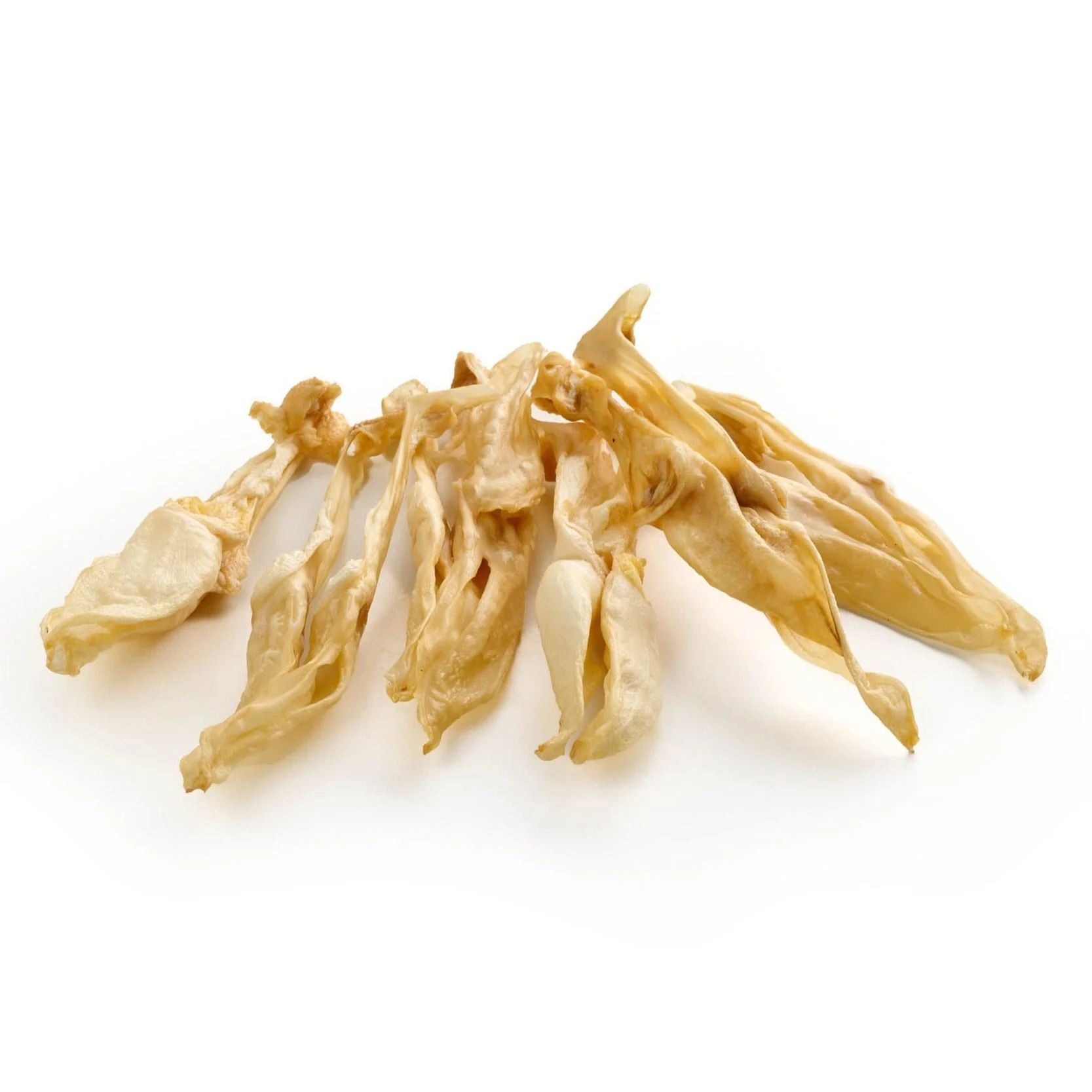 orecchie di coniglio per cani