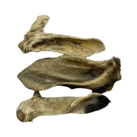 orecchie di capra per cani con pelo