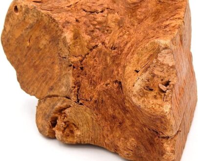 radice-di-erica-per-cani