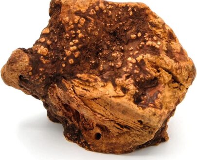 radice-di-erica-per-cani