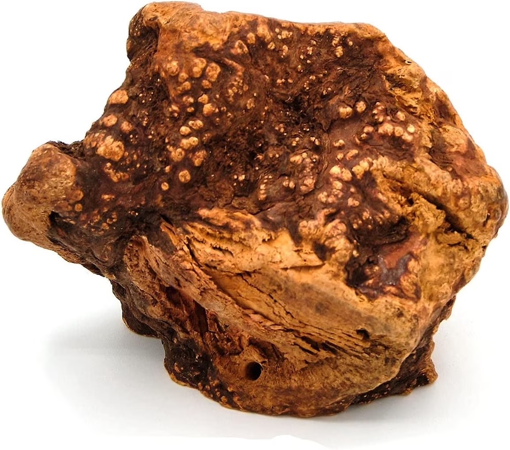 radice-di-erica-per-cani