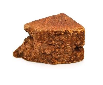 radice-di-erica-per-cani