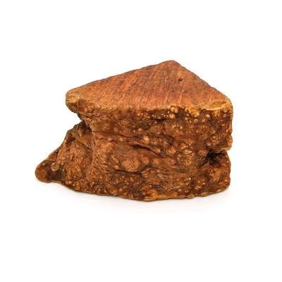 Radice di erica per Cani