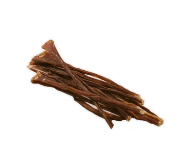 spaghetti di manzo per cani