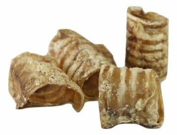 trachea di bovino essiccata per cani