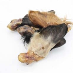 orecchie di bovino con pelo per cani