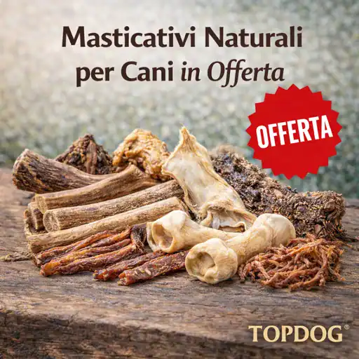 Masticativi in Offerta Speciale